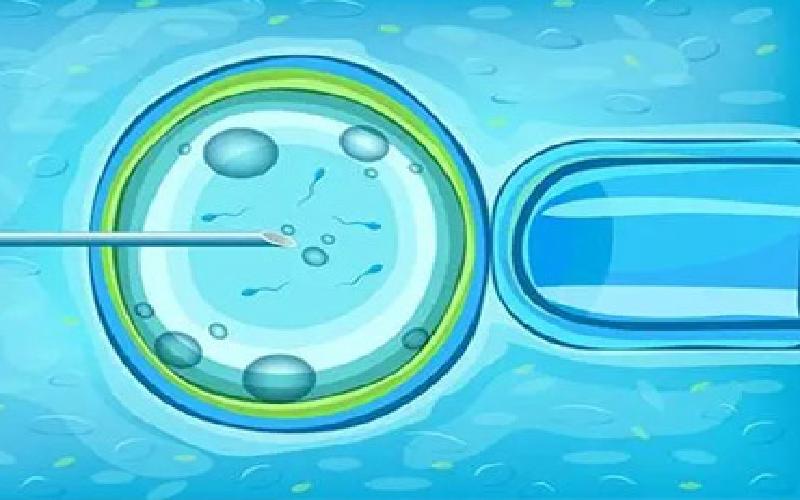 试管6细胞冷冻代生